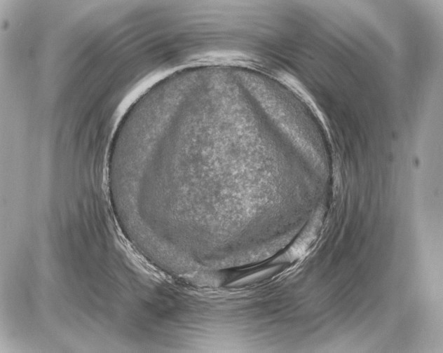 X0000085811336200704091556