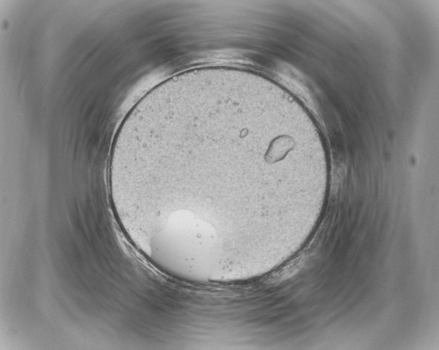 X0000085811338200704091556