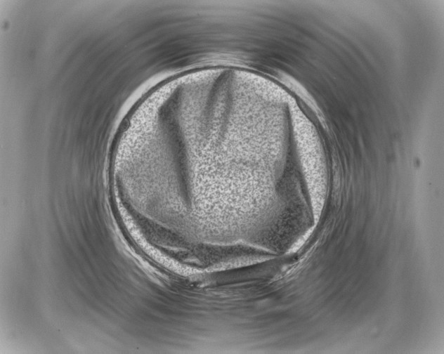 X0000085811339200704091557