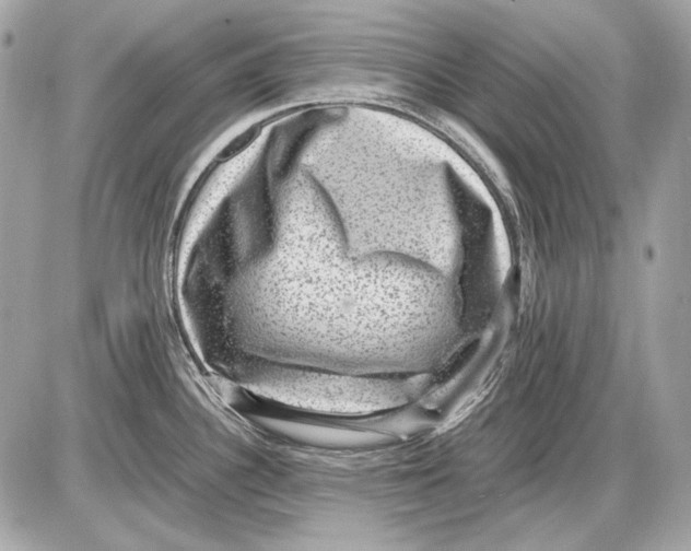 X0000085811340200704091557