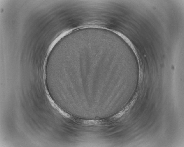 X0000085811341200704091557