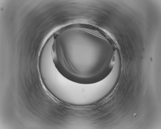 X0000085811342200704091557