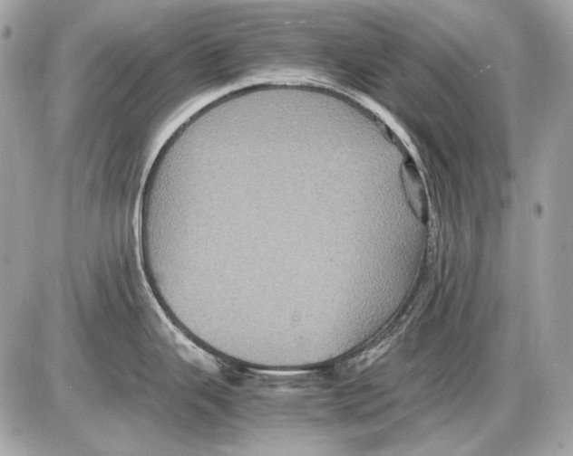 X0000085811343200704091557