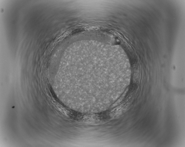 X0000085811345200704091556