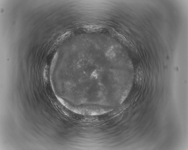 X0000085811346200704091556