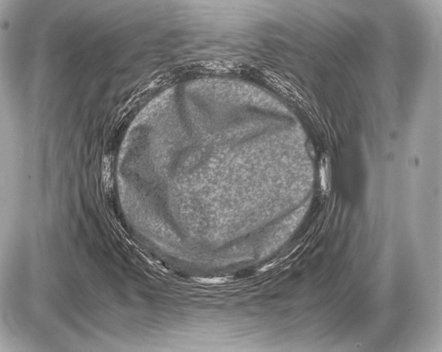 X0000085811347200704091556