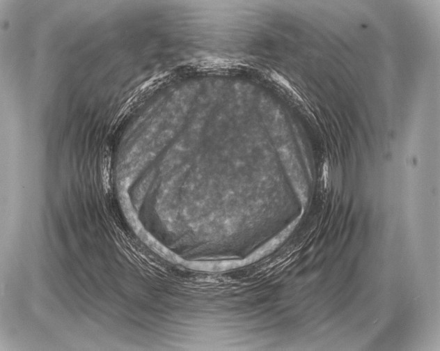 X0000085811348200704091556