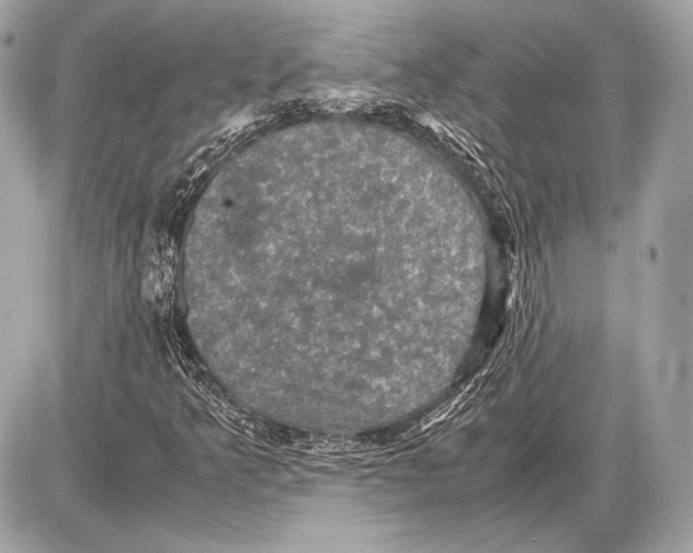 X0000085811349200704091556