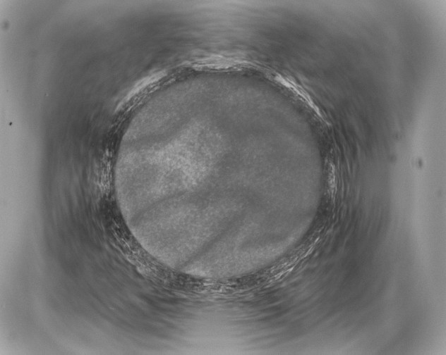 X0000085811350200704091556