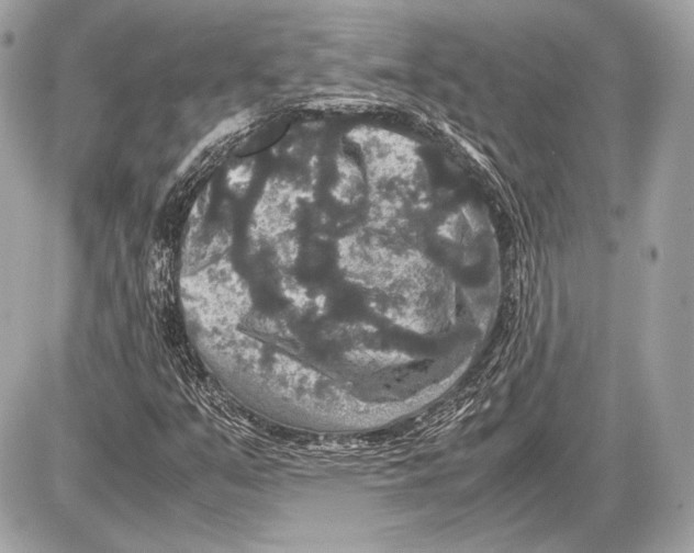 X0000085811351200704091556