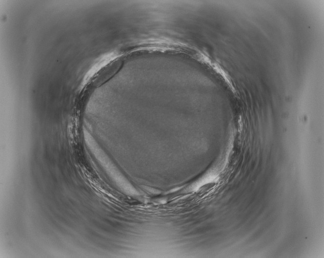 X0000085811352200704091556