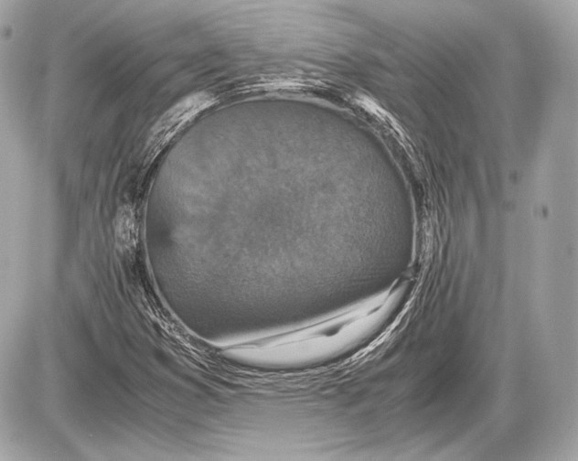 X0000085811353200704091556