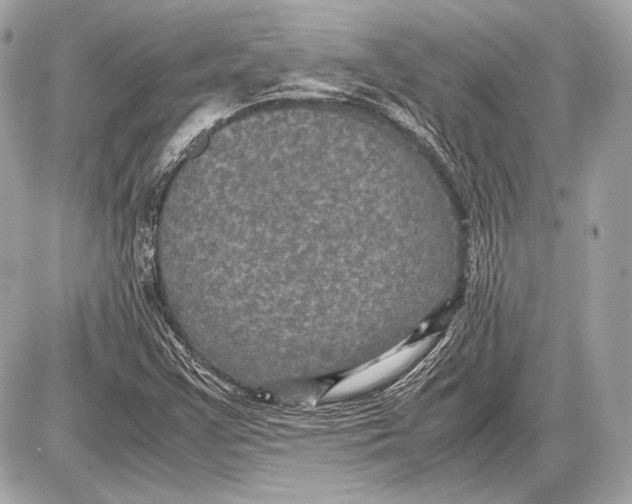 X0000085811355200704091556