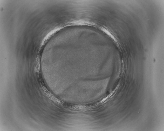 X0000085811358200704091556