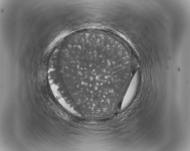 X0000085811359200704091556