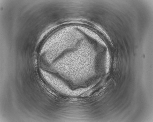 X0000085811360200704091556