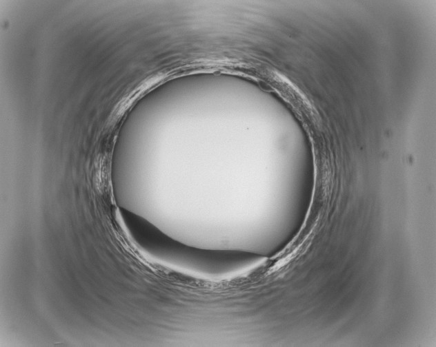 X0000085811361200704091556