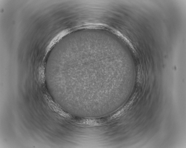 X0000085811362200704091556