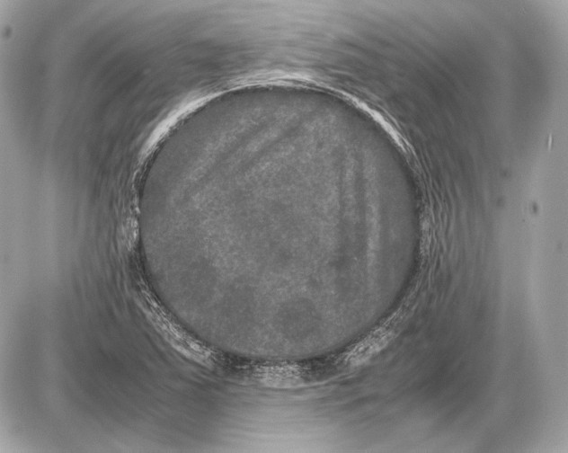 X0000085811363200704091556