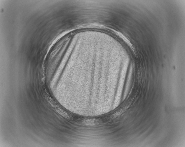 X0000085811364200704091555