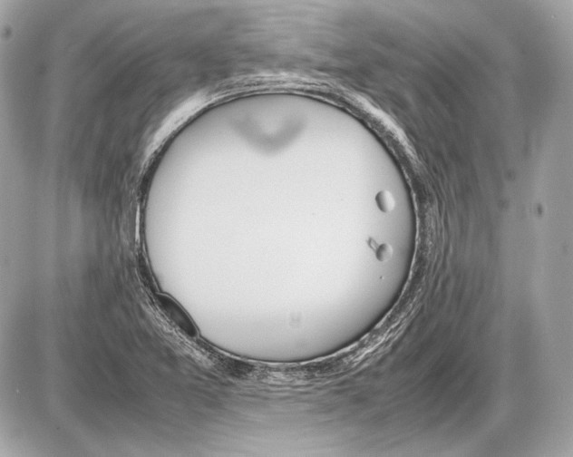 X0000085811365200704091555