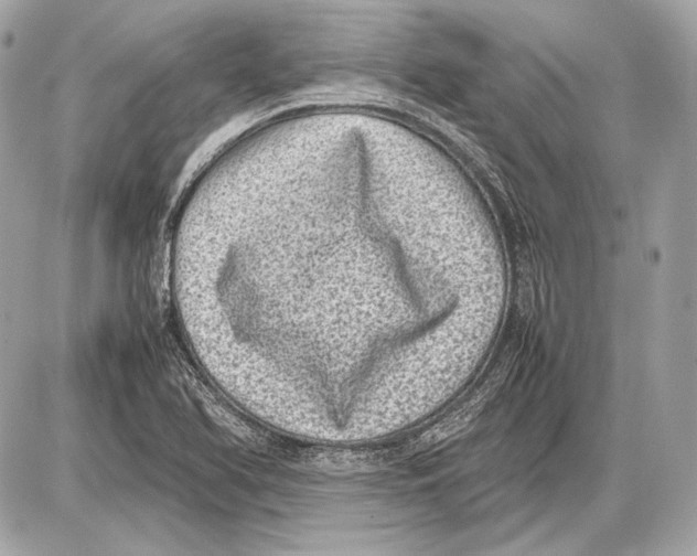 X0000085811366200704091555