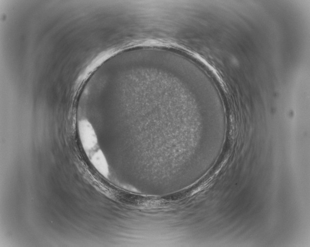 X0000085811367200704091555