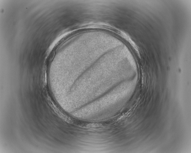 X0000085811368200704091555