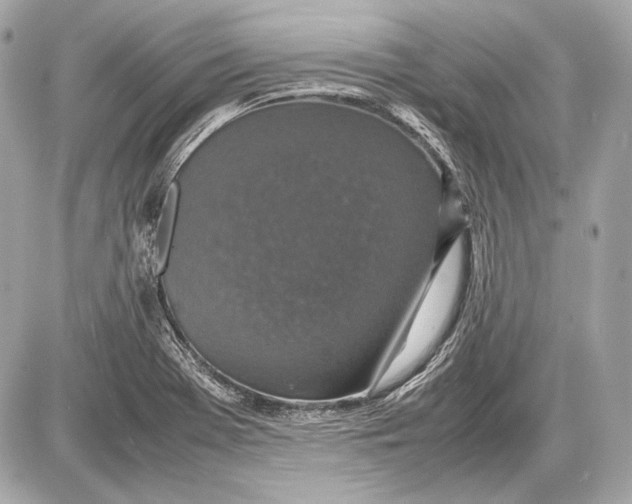 X0000085811369200704091555