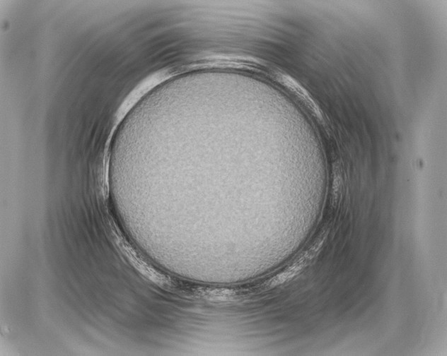 X0000085811370200704091555