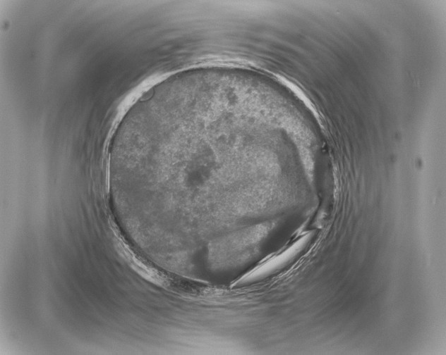 X0000085811371200704091555