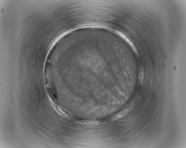 X0000085811372200704091555