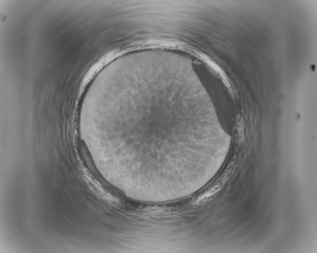 X0000085811373200704091555