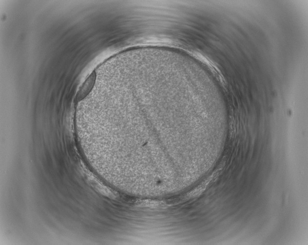 X0000085811374200704091555