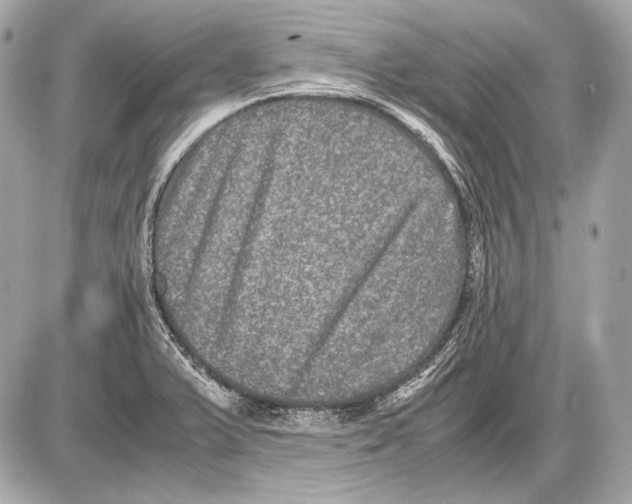 X0000085811375200704091555