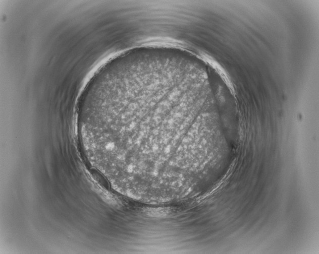 X0000085811376200704091555