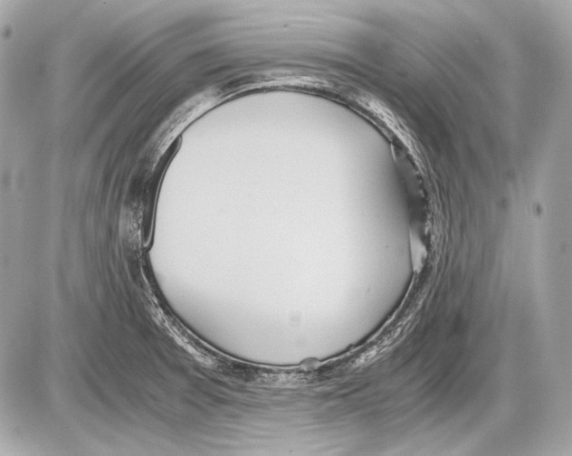 X0000085811377200704091555