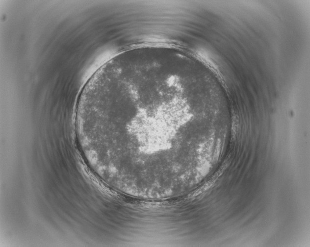 X0000085811378200704091555