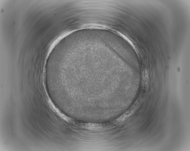 X0000085811379200704091555