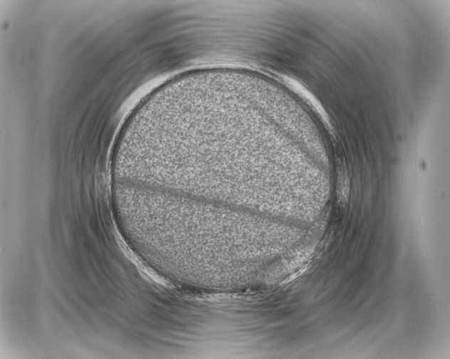 X0000085811380200704091555