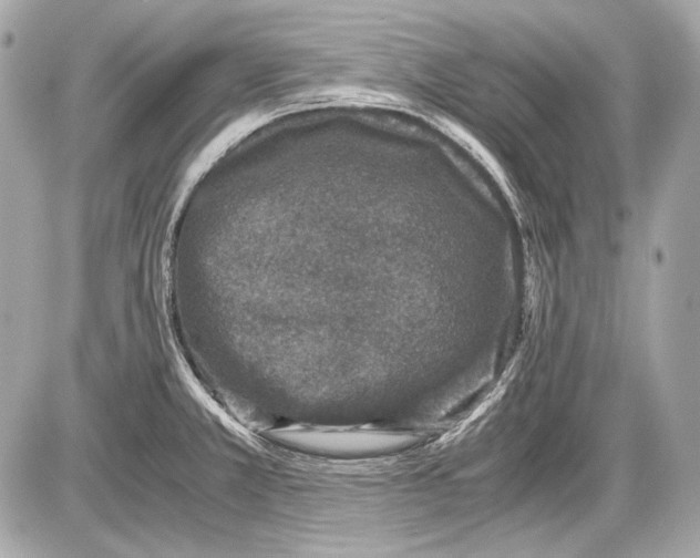 X0000085811381200704091555