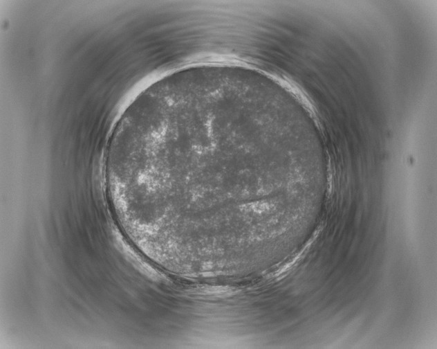 X0000085811382200704091555