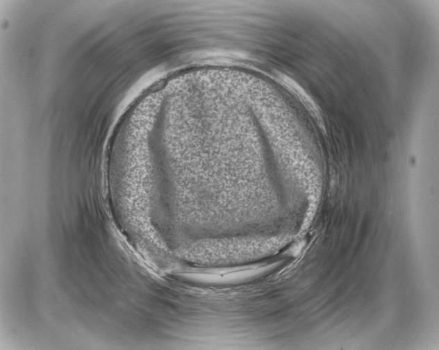 X0000085811384200704091555