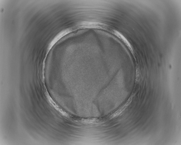 X0000085811386200704091555