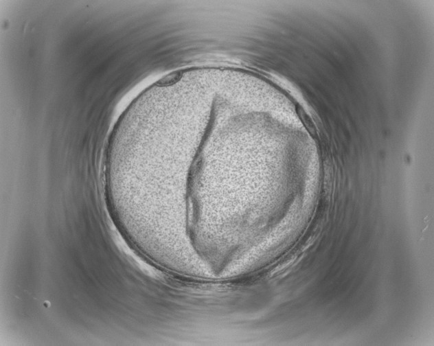 X0000085811387200704091555