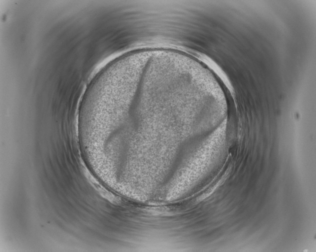 X0000085811388200704091555