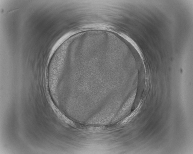 X0000085811389200704091555