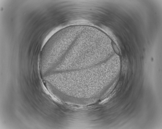 X0000085811390200704091555