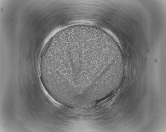 X0000085811391200704091555