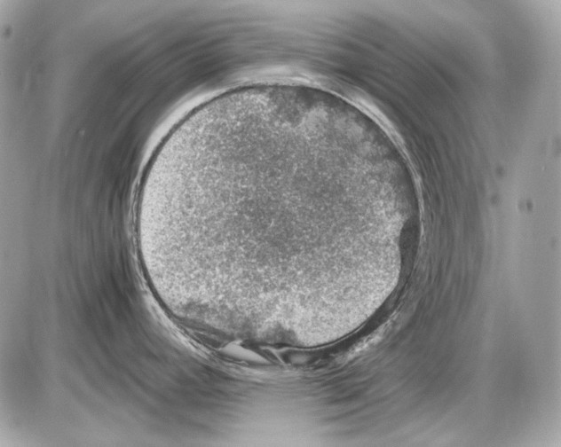 X0000085811392200704091555